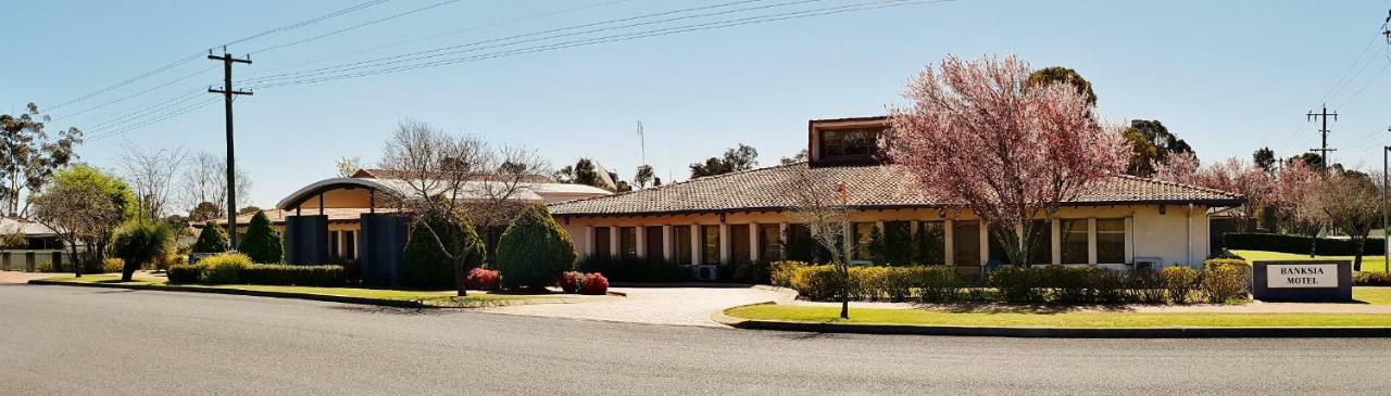 Banksia Motel Collie Extérieur photo