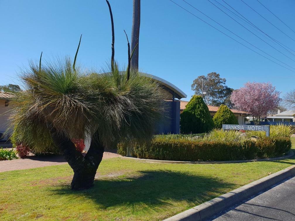 Banksia Motel Collie Extérieur photo